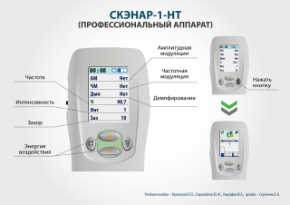 СКЭНАР-1-НТ (исполнение 01)  в Пскове купить Скэнар официальный сайт - denasvertebra.ru 