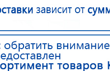 СКЭНАР-1-НТ (исполнение 01)  купить в Пскове, Аппараты Скэнар купить в Пскове, Скэнар официальный сайт - denasvertebra.ru