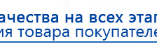 Кабель для подключения электродов к Скэнару купить в Пскове, Электроды Скэнар купить в Пскове, Скэнар официальный сайт - denasvertebra.ru